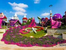 Dubai Miracle Garden