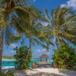 The Best Winter Deals on Luxury Resorts in the Maldives – Maldives Paradise